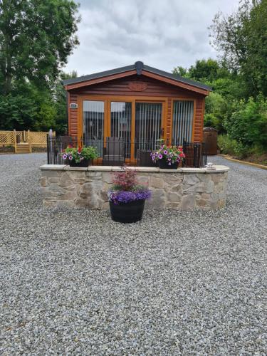 Bear Lodge - Accommodation - Auchterarder