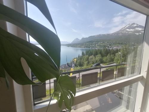 Restaurant, Magic Mountain Lodge - Lyngen in Lyngseidet