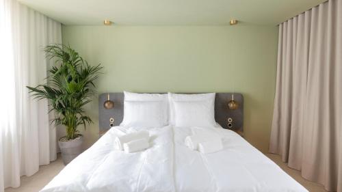 1 queen bed, 1 sofa bed