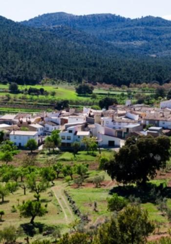  La Casa de Maria in Bogarra
