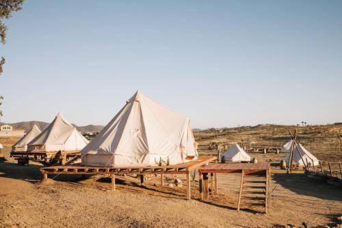 Lago Valle Wine Glamping