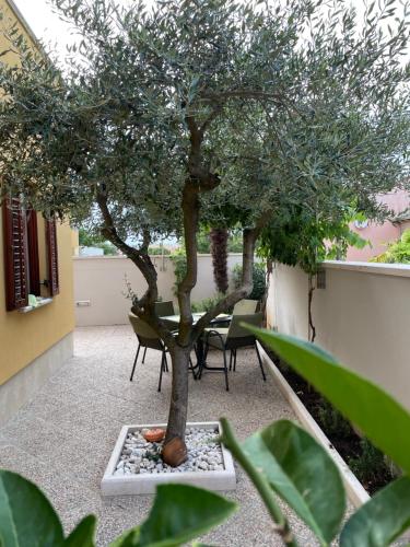 Villa Ni Na Rovinj - image 4