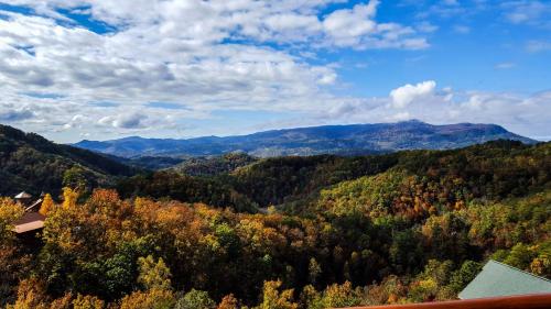 Birdnest Way Cabin 1258 - image 3