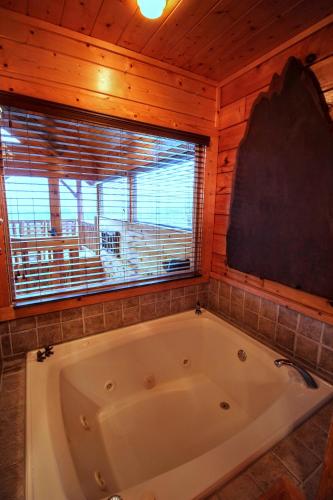 Birdnest Way Cabin 1258 - image 13