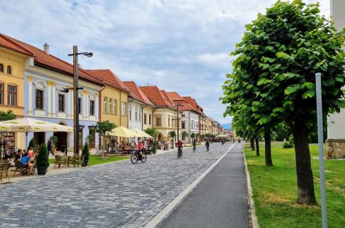 Historical house in the center Levoča with parking