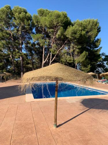 Castillo con piscina en plena Sierra Calderona in Altura