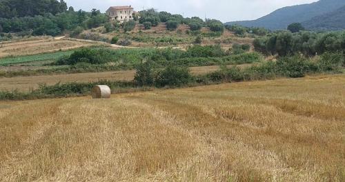 Val martina chambre d'hôte Castiglione della Pescaia