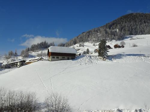 Chalet Catina