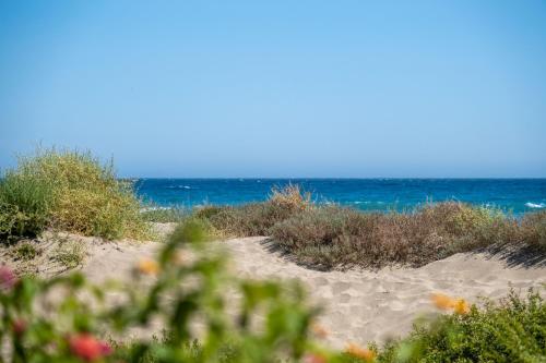 QUEEN MARBELLA - Romana Playa