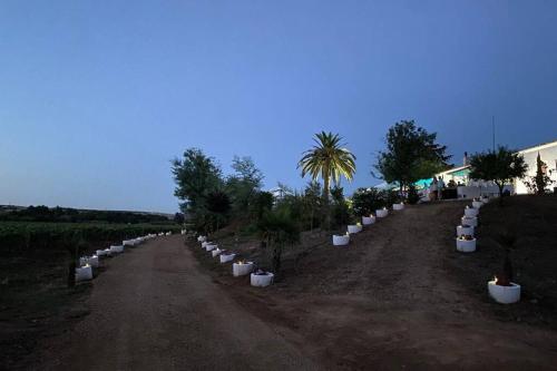 Casa Apartamento Rural La Cimbrona - Pardina