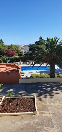สระว่ายน้ำ, Villa Belinha - Guest House in ควาเตรา ซิตี้ เซนเตอร์