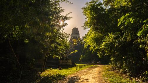 . Jungle Lodge Tikal Hostal