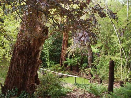 山顶住宿加早餐旅馆