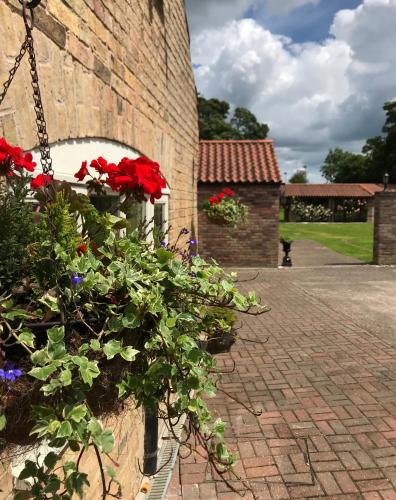 Charming Hen Cottage Countryside Retreat Lincoln