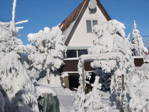 Holiday home in Svahova - Erzgebirge 1694, Svahová