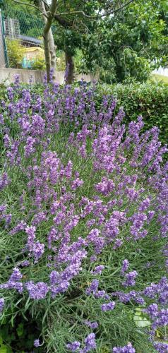 Apartment in Wutha-Farnroda 3178 Apartment in Wutha-Farnroda 3178