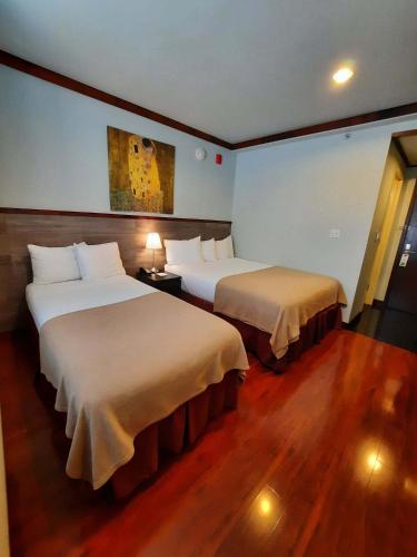 Suite, deluxe, familien