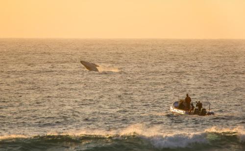 Thonga Beach Lodge 4