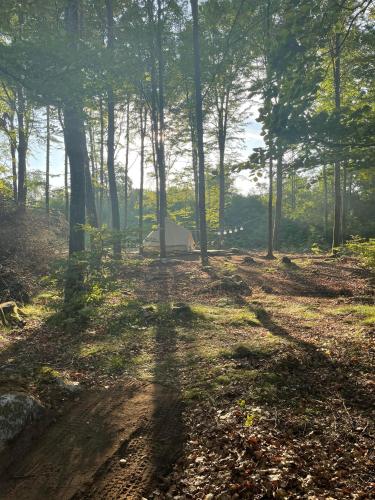 Surrounding environment, Naturglamping in Lyckans Höjd