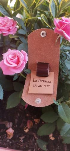  B&B La Terrazza in Domodossola