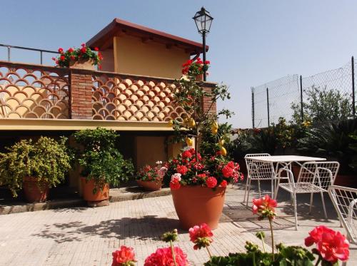 B&B U Palmentu - image 6