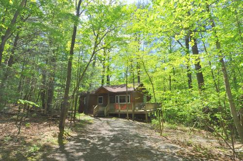 Cabin at Sleepy Creek - Creek Access, Wifi, Pet Friendly, Fire Pit, Charcoal Grill, Screen Porch, Wood Stove, Deck, Family Friendly