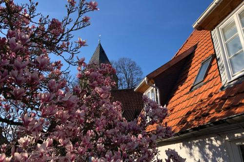 Dudenhaus Soest / Anno 1554 / Am Brauhaus Zwiebel