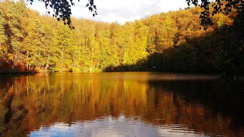Little Ranch am Badesee in 伯恩斯豪森