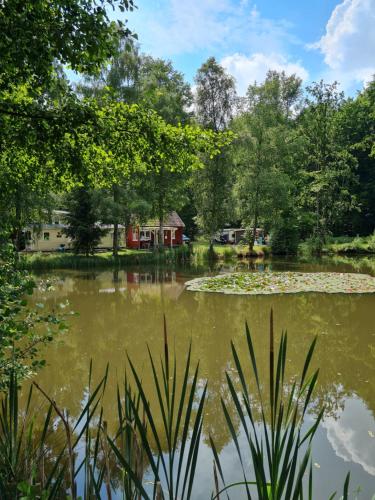 Little Ranch am Badesee in 伯恩斯豪森