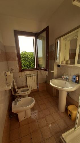 Nonno Pio - image 12