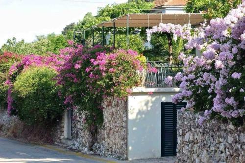 Konstantinas House, a touch of nature & sea - Location saisonnière - Ferendináta