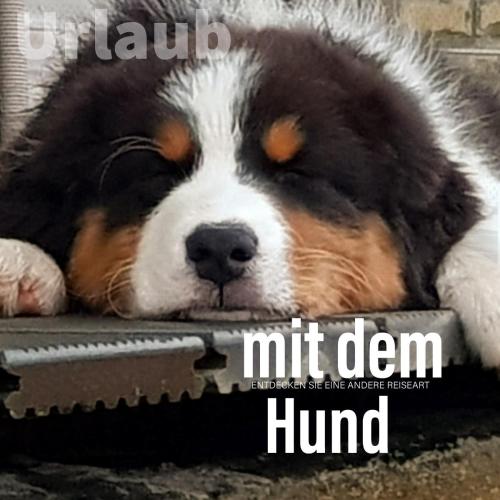 Der Seehof - image 4