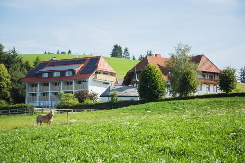 Gasthaus Sonne Neuhäusle