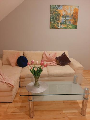 Apartament Lesny Zakatek