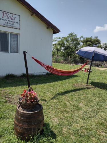 Guest House Viola in كافارنا