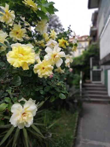 Villamelchiorre 1, Milano (foto 8)