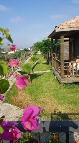 Karpaz farm guest house - image 2