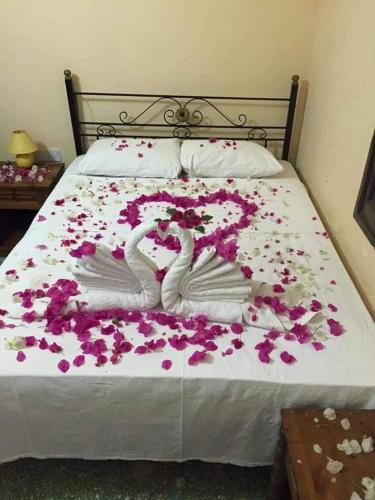 Karpaz farm guest house - image 12