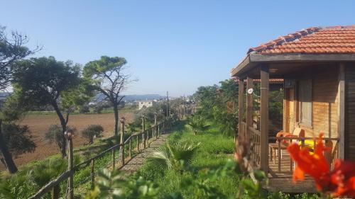 Karpaz farm guest house - image 7