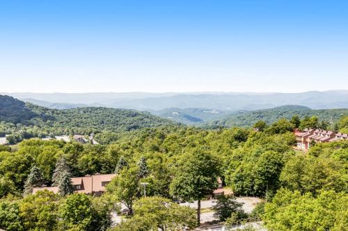 Skiway, Beech Mountain (foto 8)