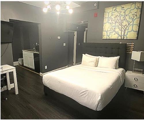 Lower Level Studio, Stay Tonight!