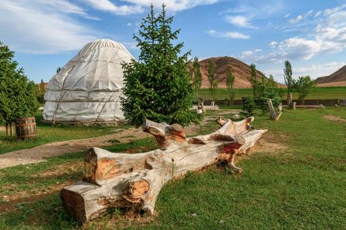 Skats, Jaichy Yurt Camp in Kosh-Kel'