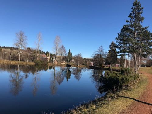 Schöne Ferienwohnung im Südschwarzwald