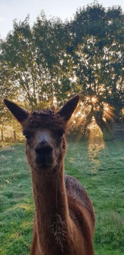 Aux murmures de la nature B&B 1