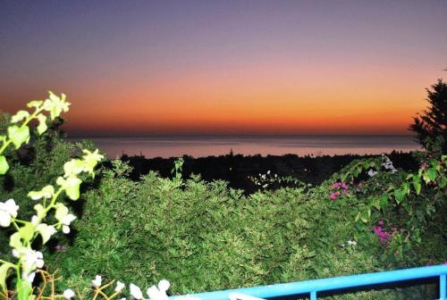 Dionysus Tranquil Villa, by Coral Sun Villas