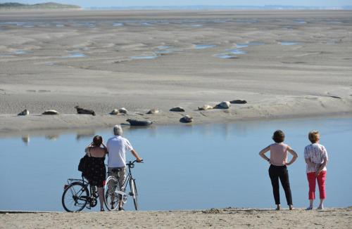 HAMAC - vue mer - 100M PLAGE