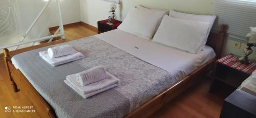  Cozy House in Samoutani, Pension in Vrachati