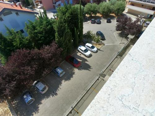 ATTICO PETFRIENDLY con TERRAZZO, VIA DEL BORGO