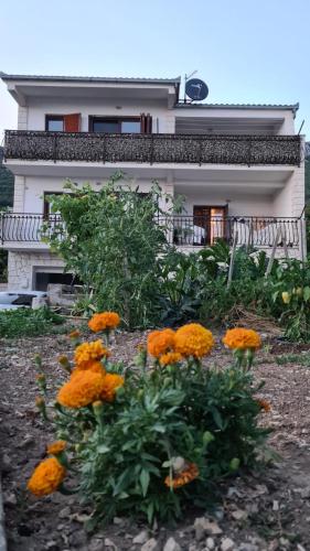 Oasis apartment with sea view and garden