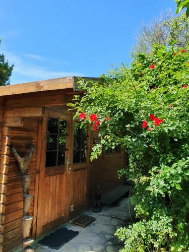 La Cabane du Pesquier en Provence - Chambre d'hôtes - Caumont-sur-Durance